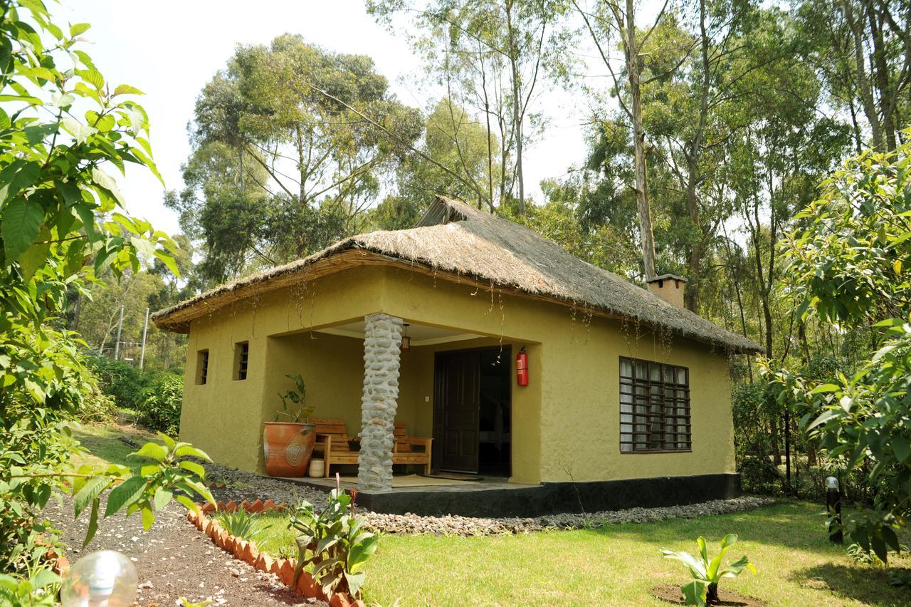 Davinci Gorilla Lodge Kinigi Экстерьер фото